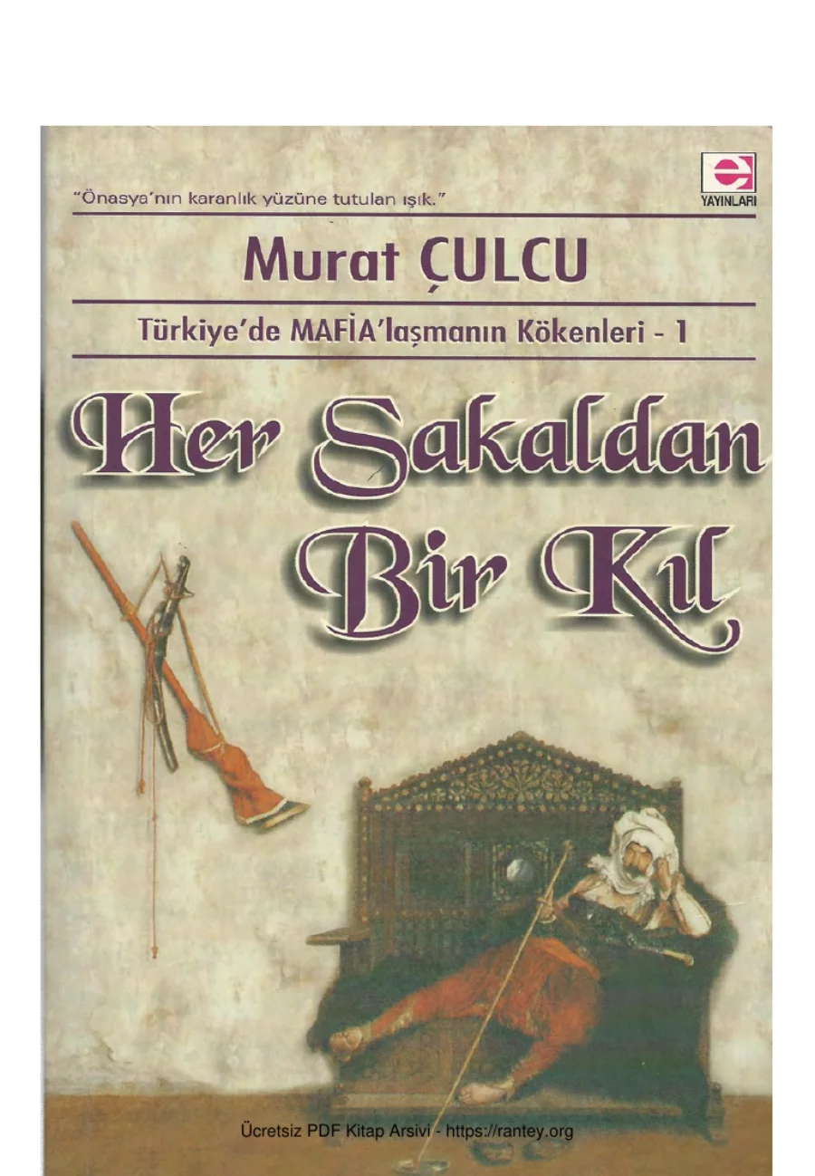 Her Sakaldan Bir Kıl kapak görseli