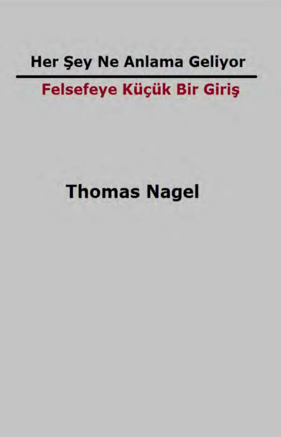 Her Şey Ne Anlama Geliyor kapak görseli