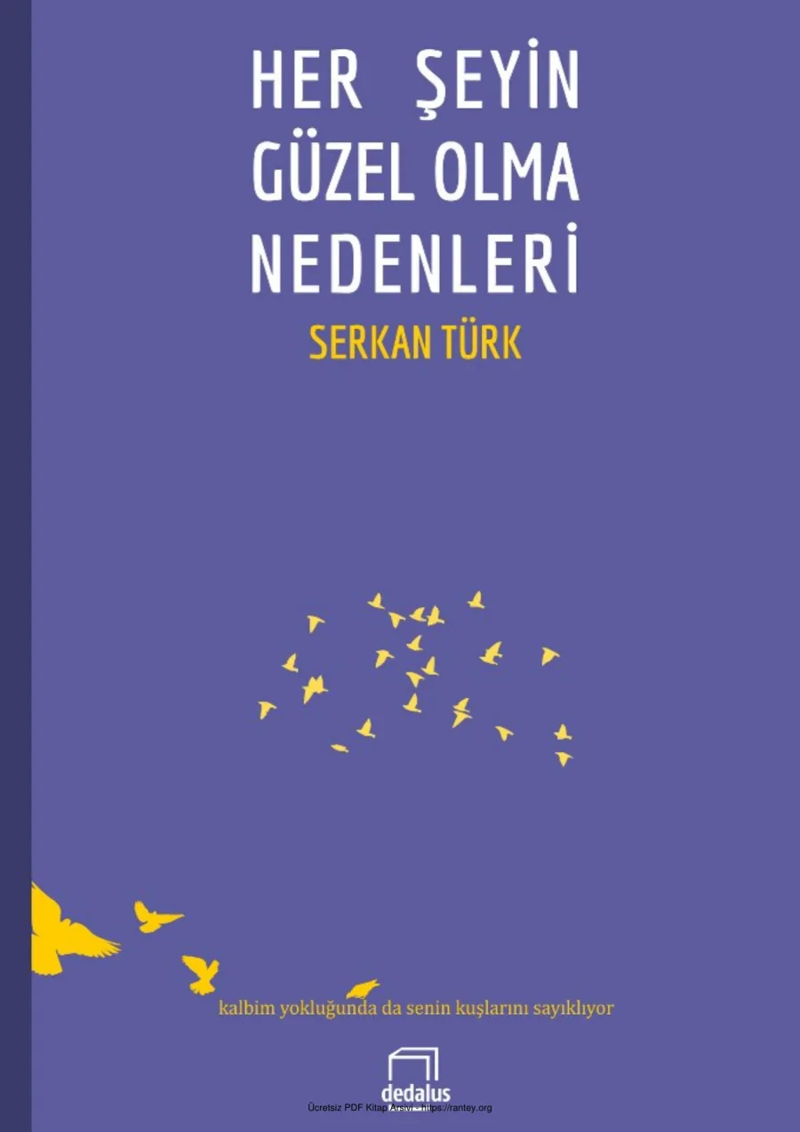 Herşeyin Güzel Olma Nedenleri kapak görseli