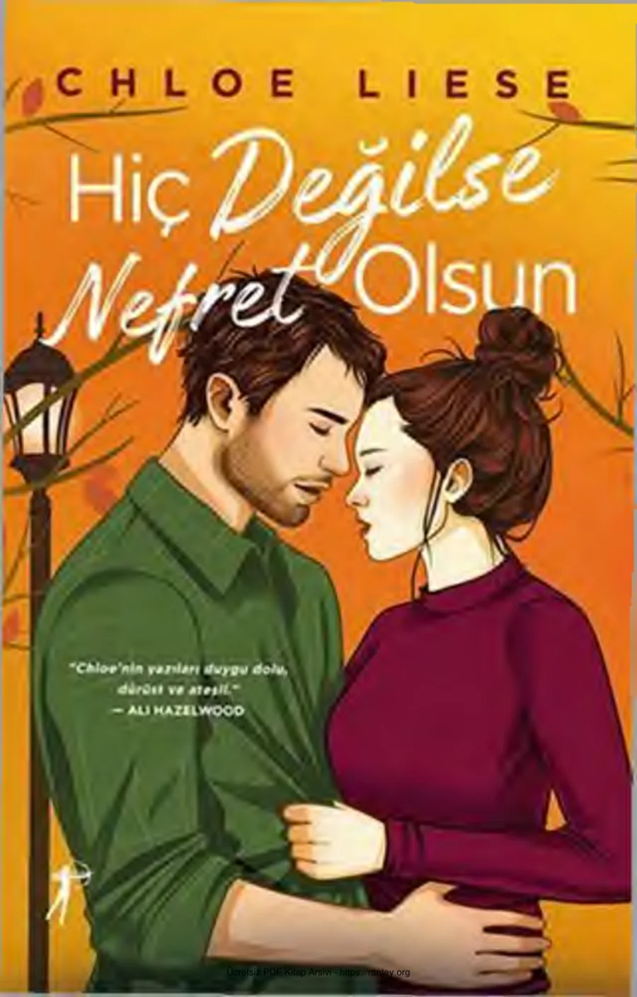 Hiç Değilse Nefret Olsun kapak görseli