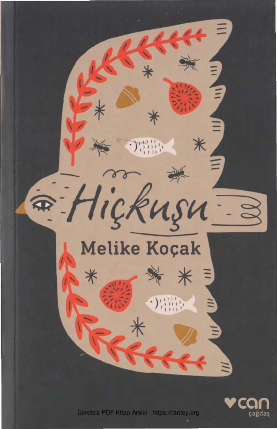 Hiçkuşu kapak görseli