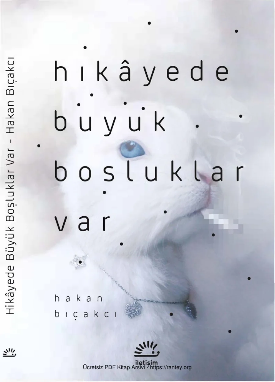 Hikayede Büyük Boşluklar Var kapak görseli
