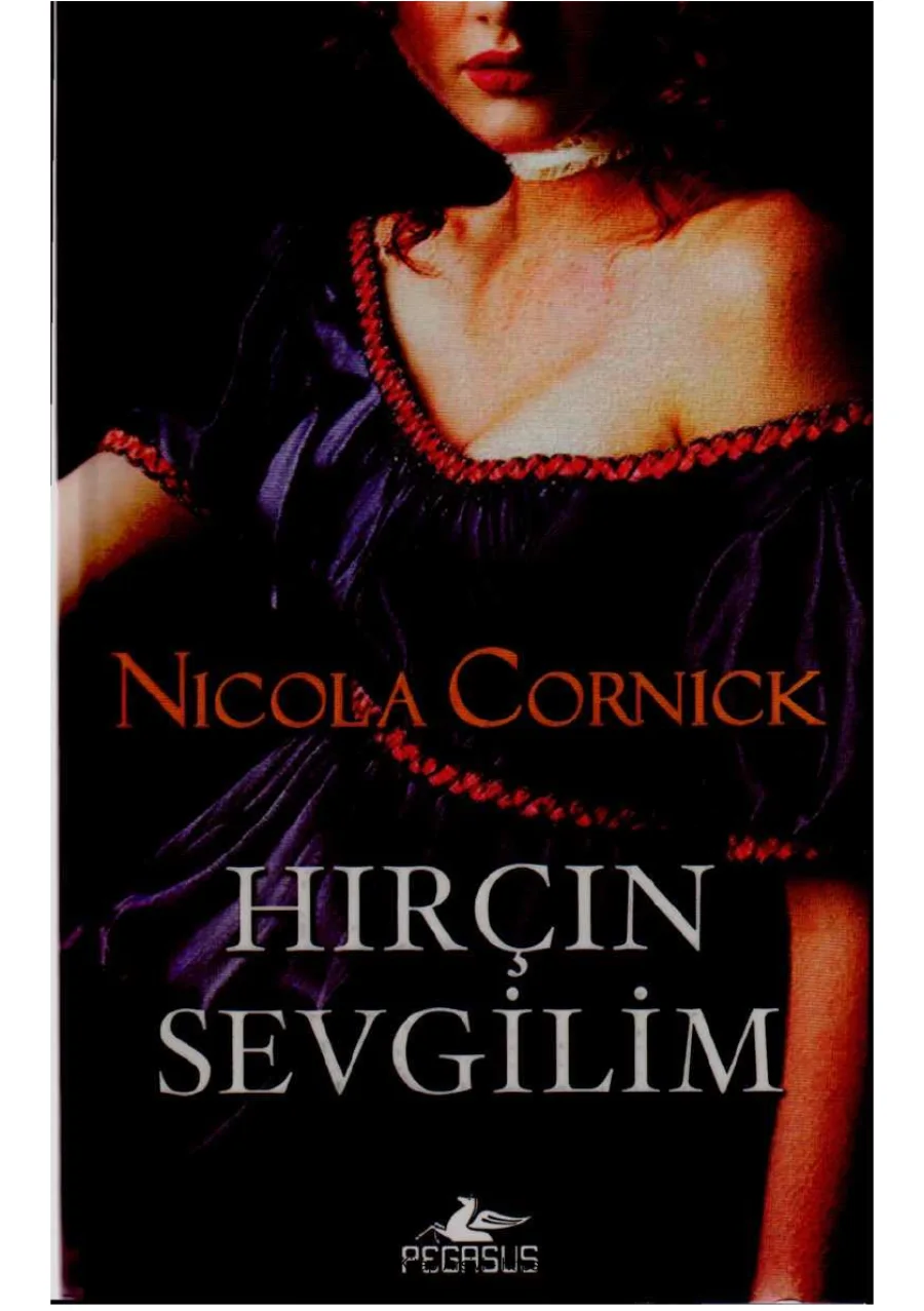 hırçın sevgilim kapak görseli