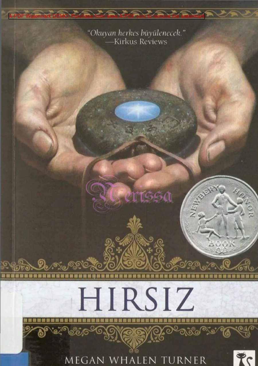 Hirsiz kapak görseli