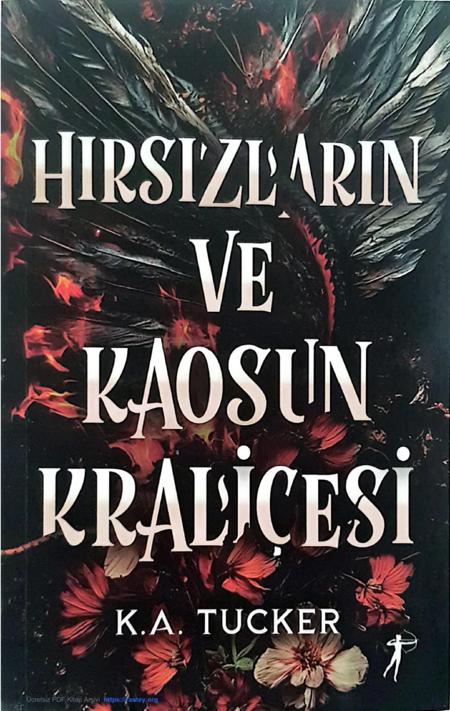Hırsızların ve Kaosun Kraliçesi kapak görseli