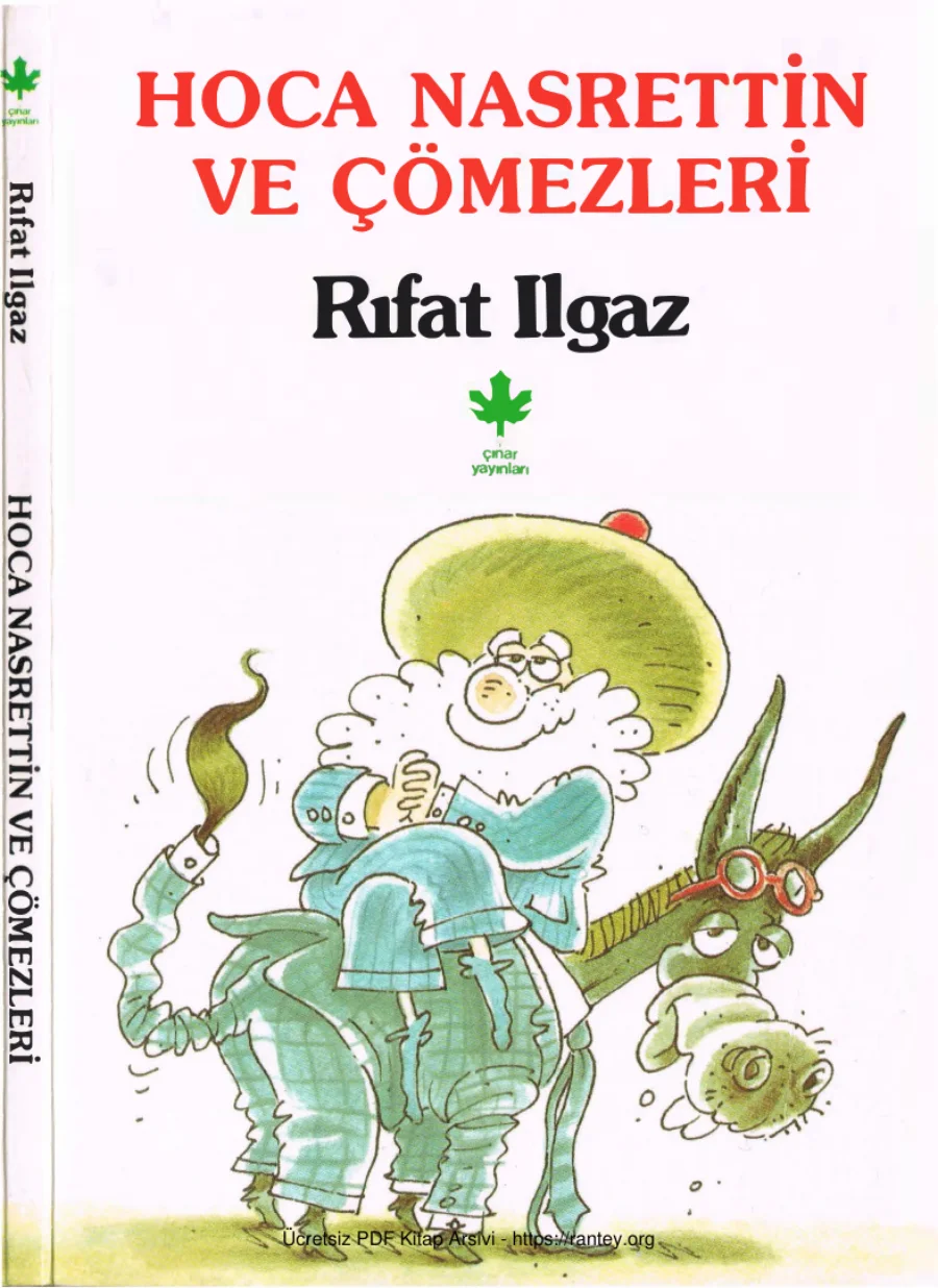 Hoca Nasrettin ve Çömezleri kapak görseli