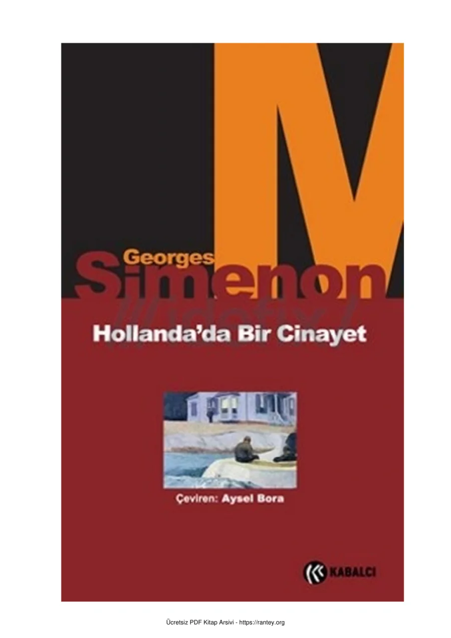 Hollandada Bir Cinayet kapak görseli