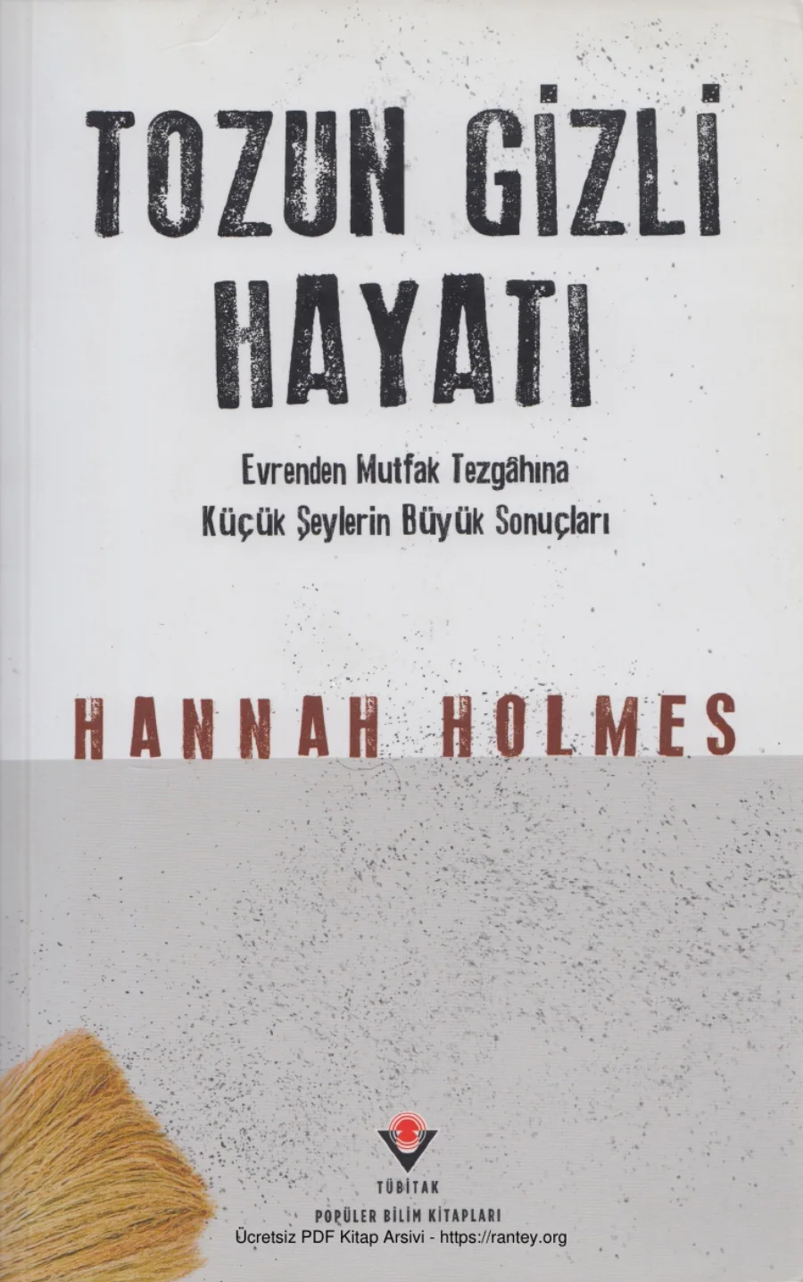 Holmes Tozun Gizli Hayatı kapak görseli