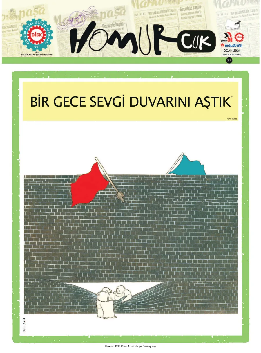 Homurcuk 241 kapak görseli