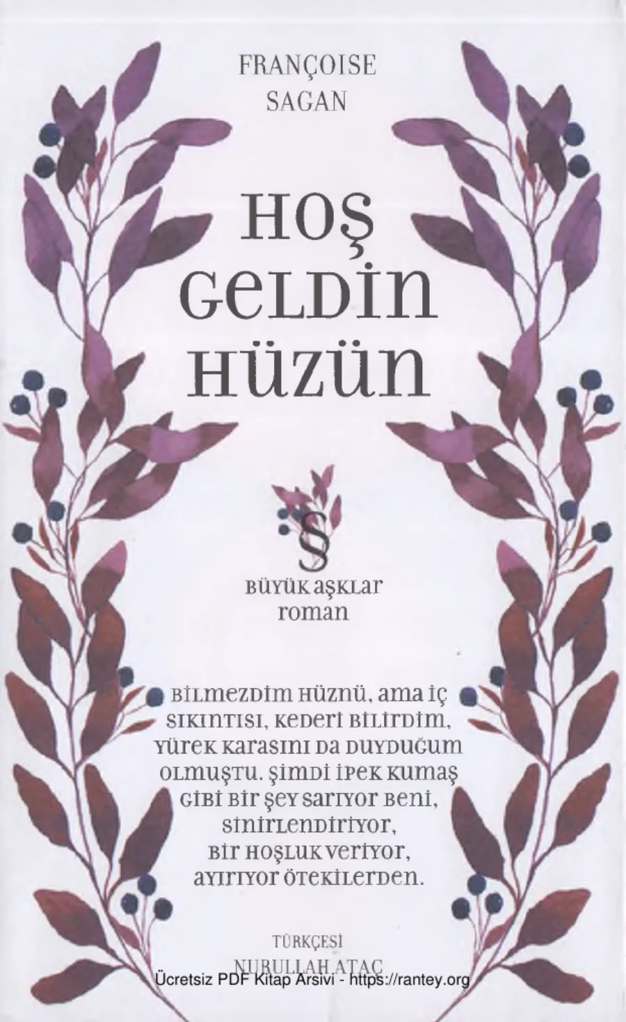 Hoşgeldin Hüzün kapak görseli