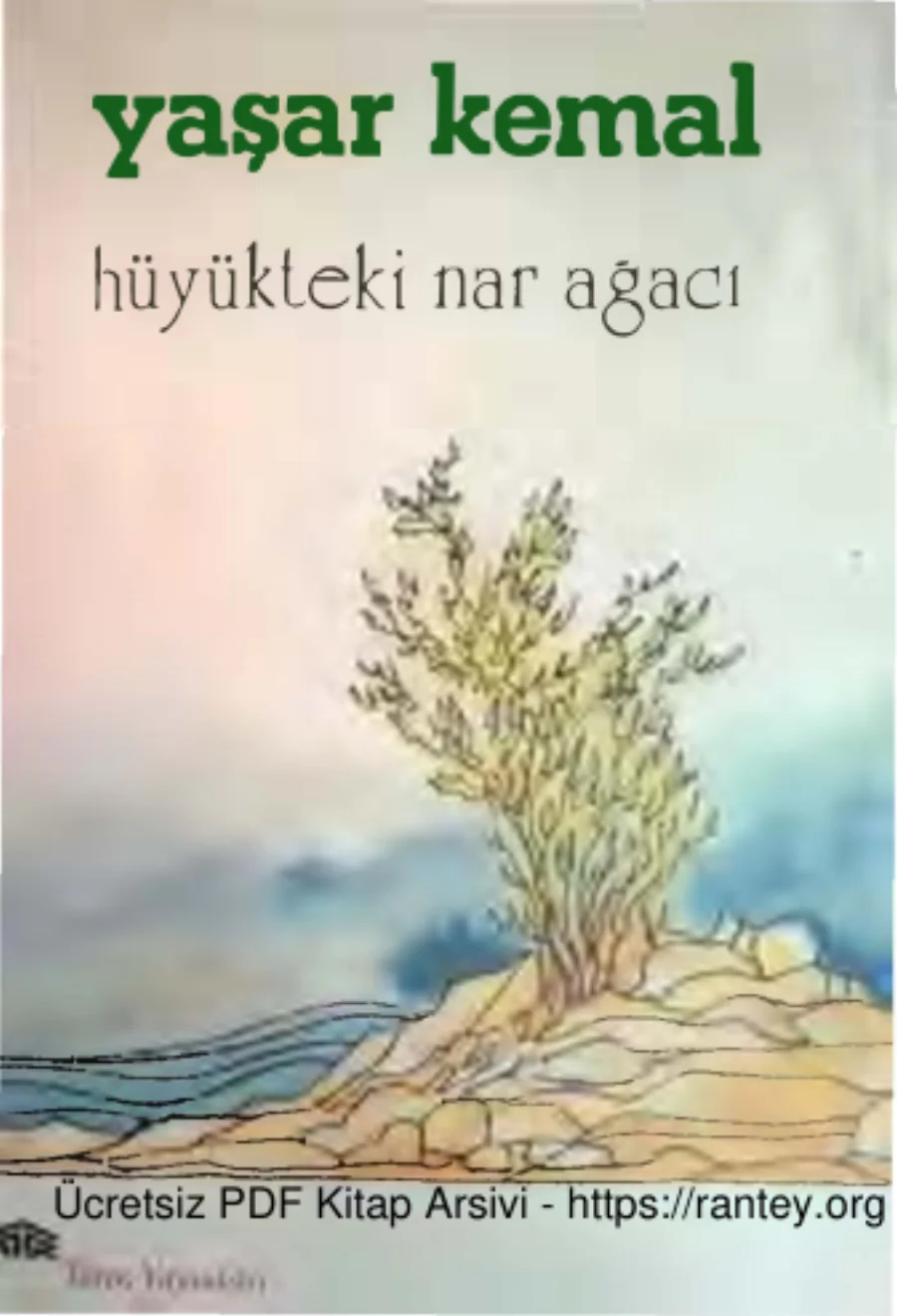 Hüyükteki Nar Ağacı kapak görseli