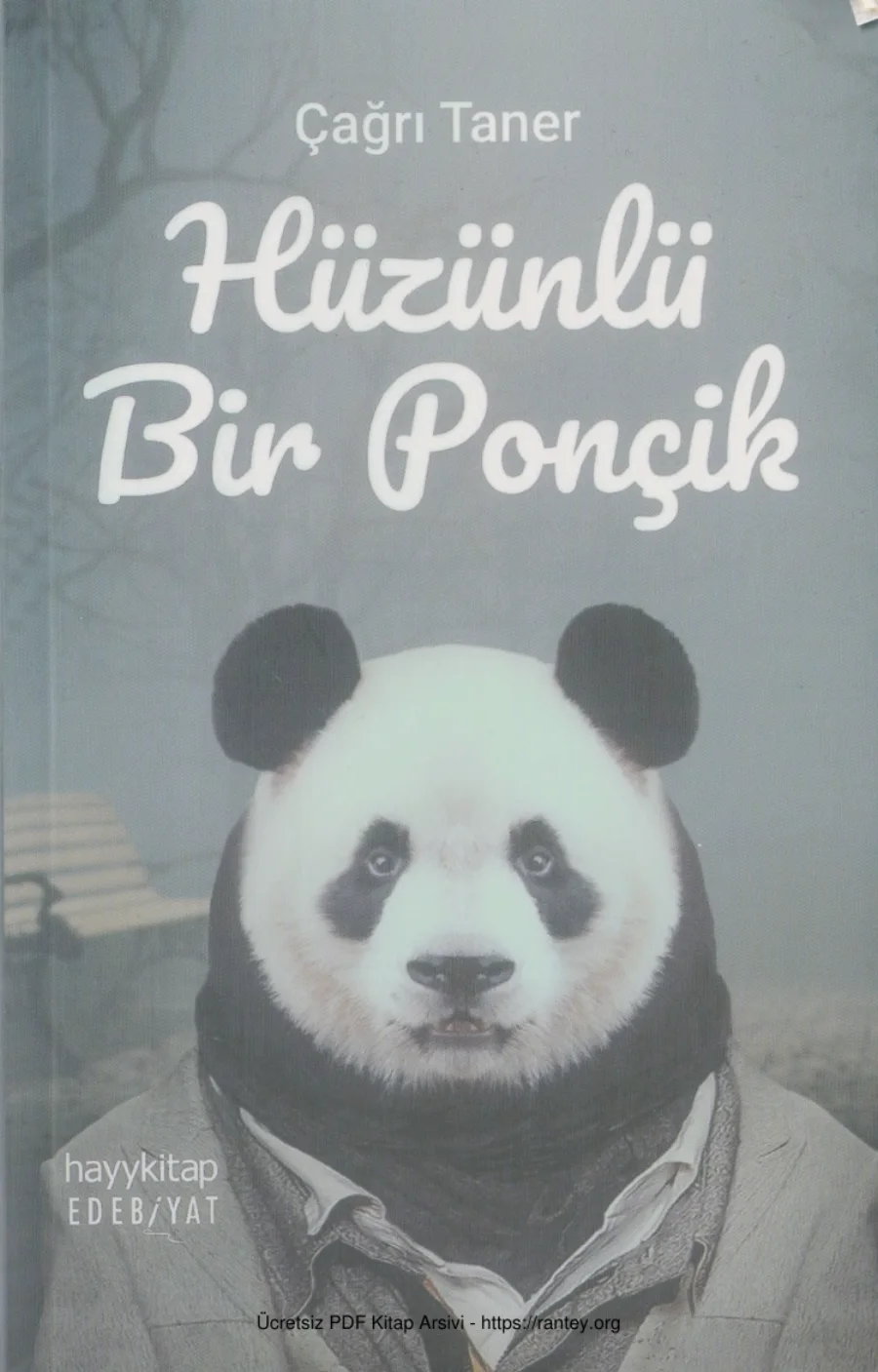 Hüzünlü Bir Ponçik kapak görseli