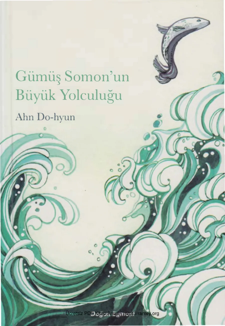 hyun Gümüş Somonun Büyük Yolculuğu Doğan kapak görseli