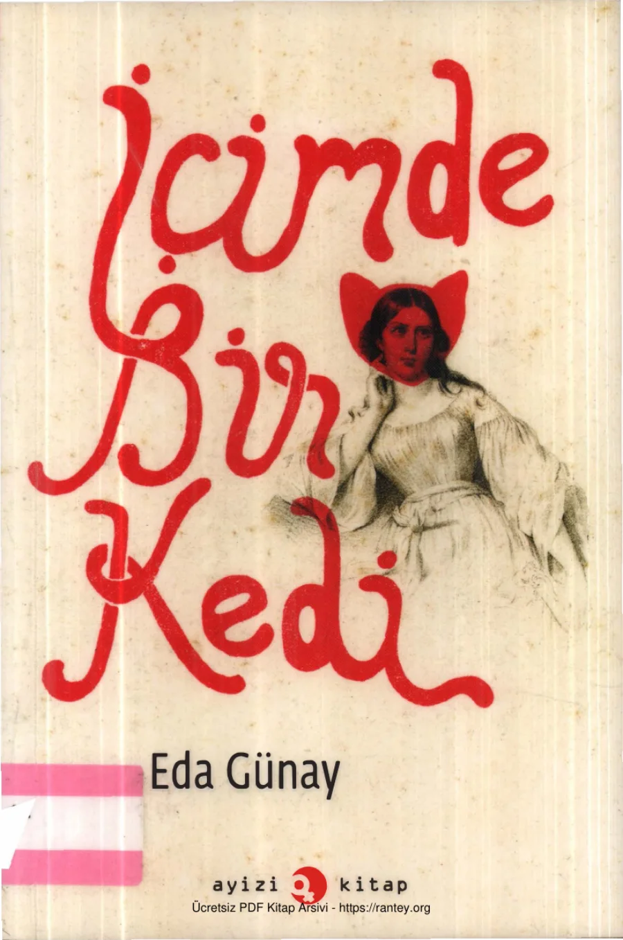 İçimde Bir Kedi Ayizi Yayınları kapak görseli