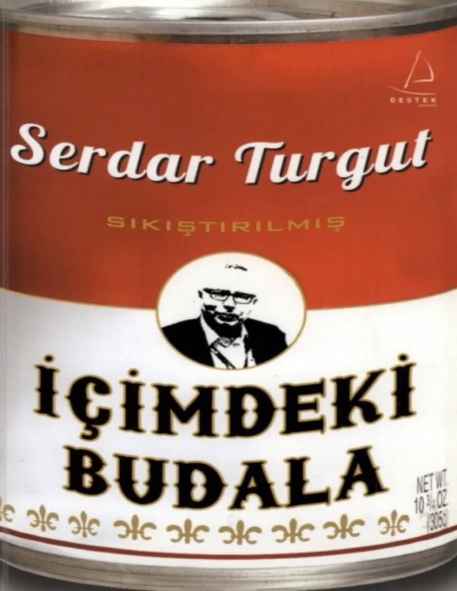 İçimdeki Budala kitap kapağı