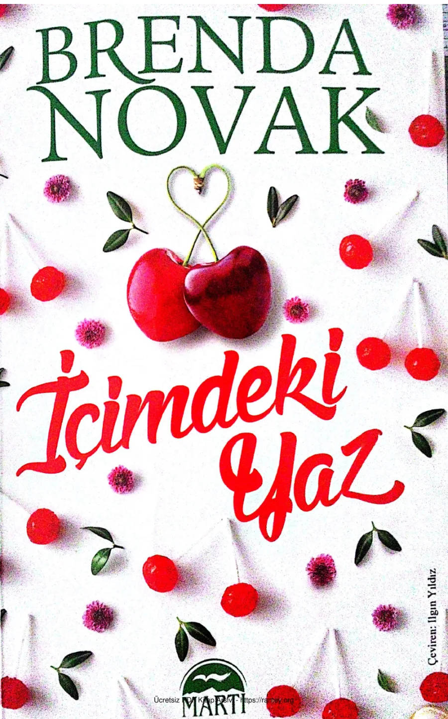 Icimdeki Yaz kapak görseli