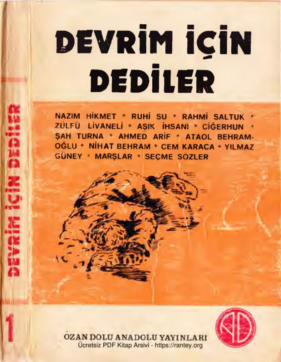 İçin Dediler 1 Ozan Golu kapak görseli
