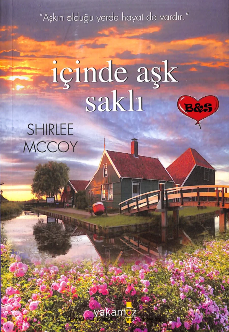 İçinde Aşk Saklı Apple Valley 2 kapak görseli