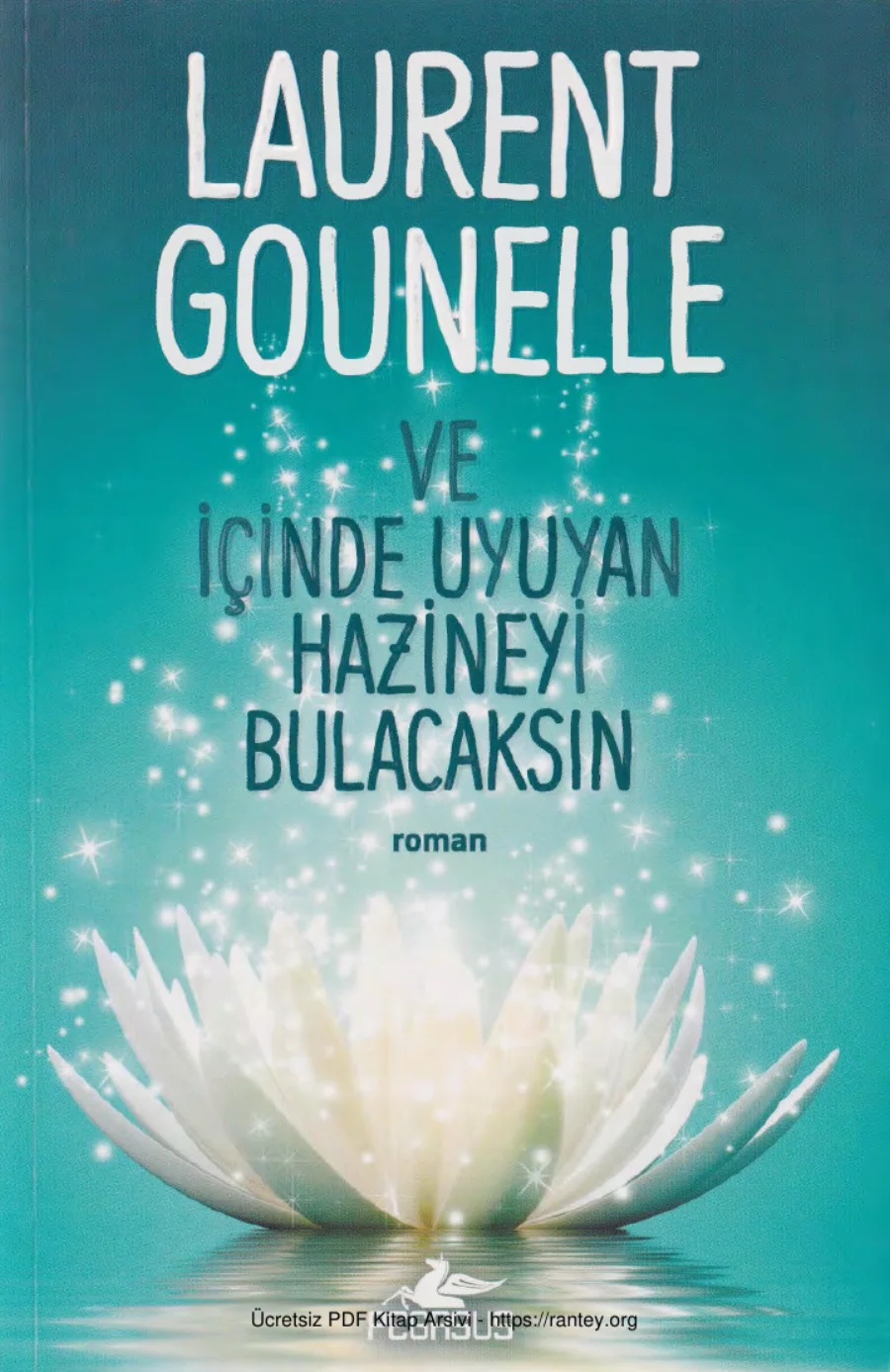 İçinde Uyuyan Hazineyi Bulacaksın kapak görseli