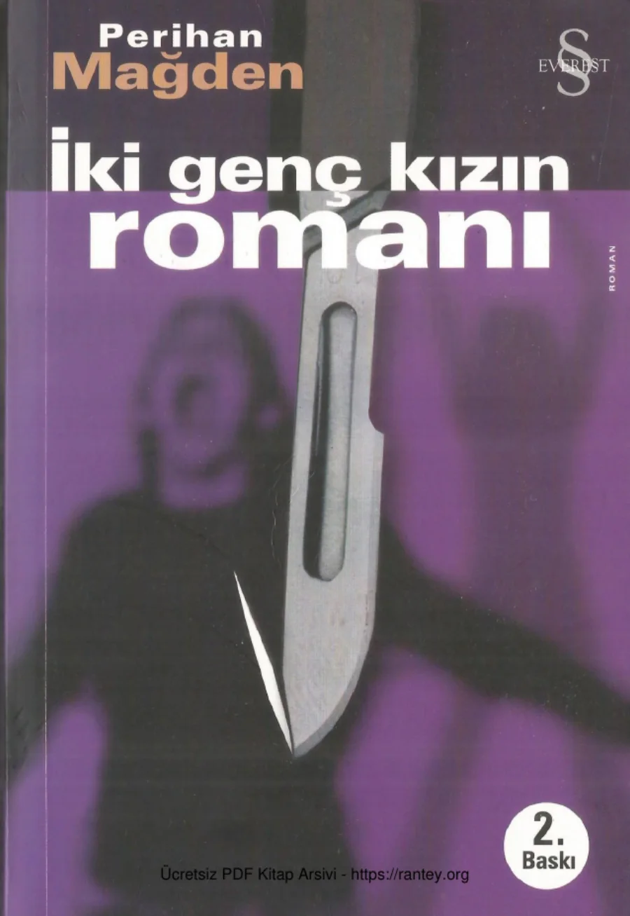 İki Genç Kızın Romanı kapak görseli