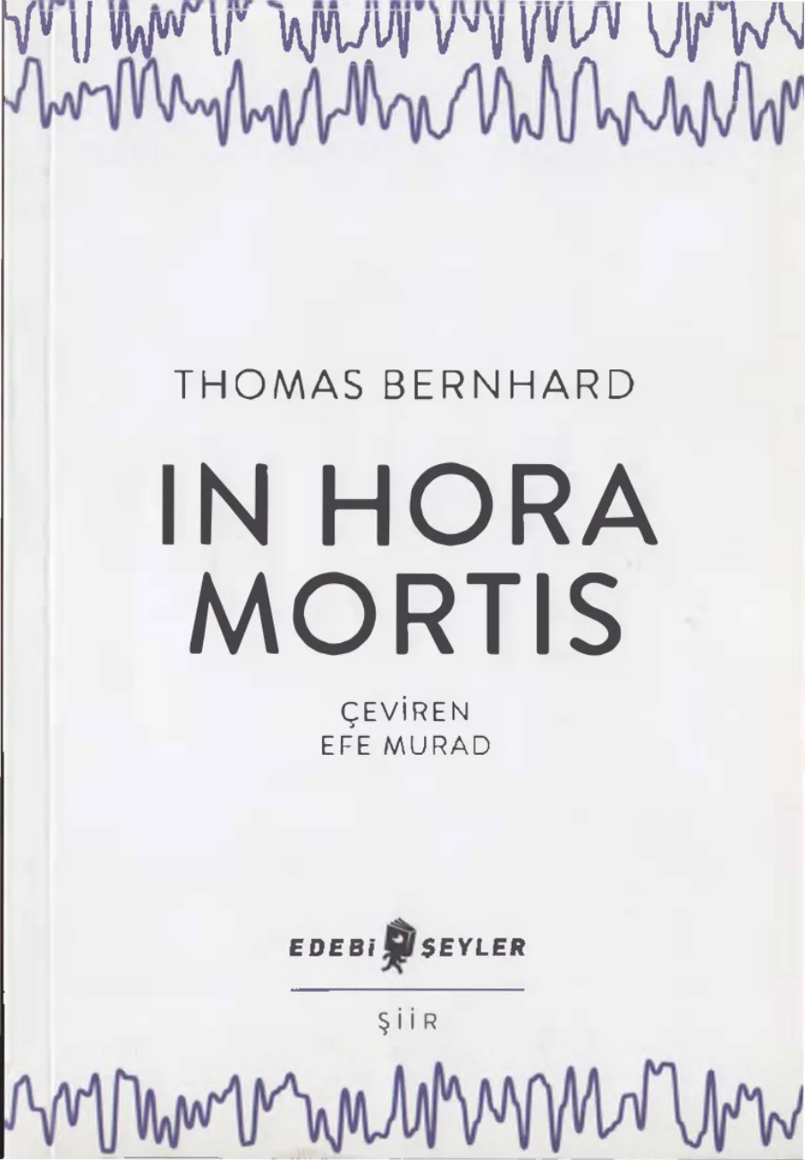 İn Hora Mortis Edebi Şeyler Yayınları kitap kapağı
