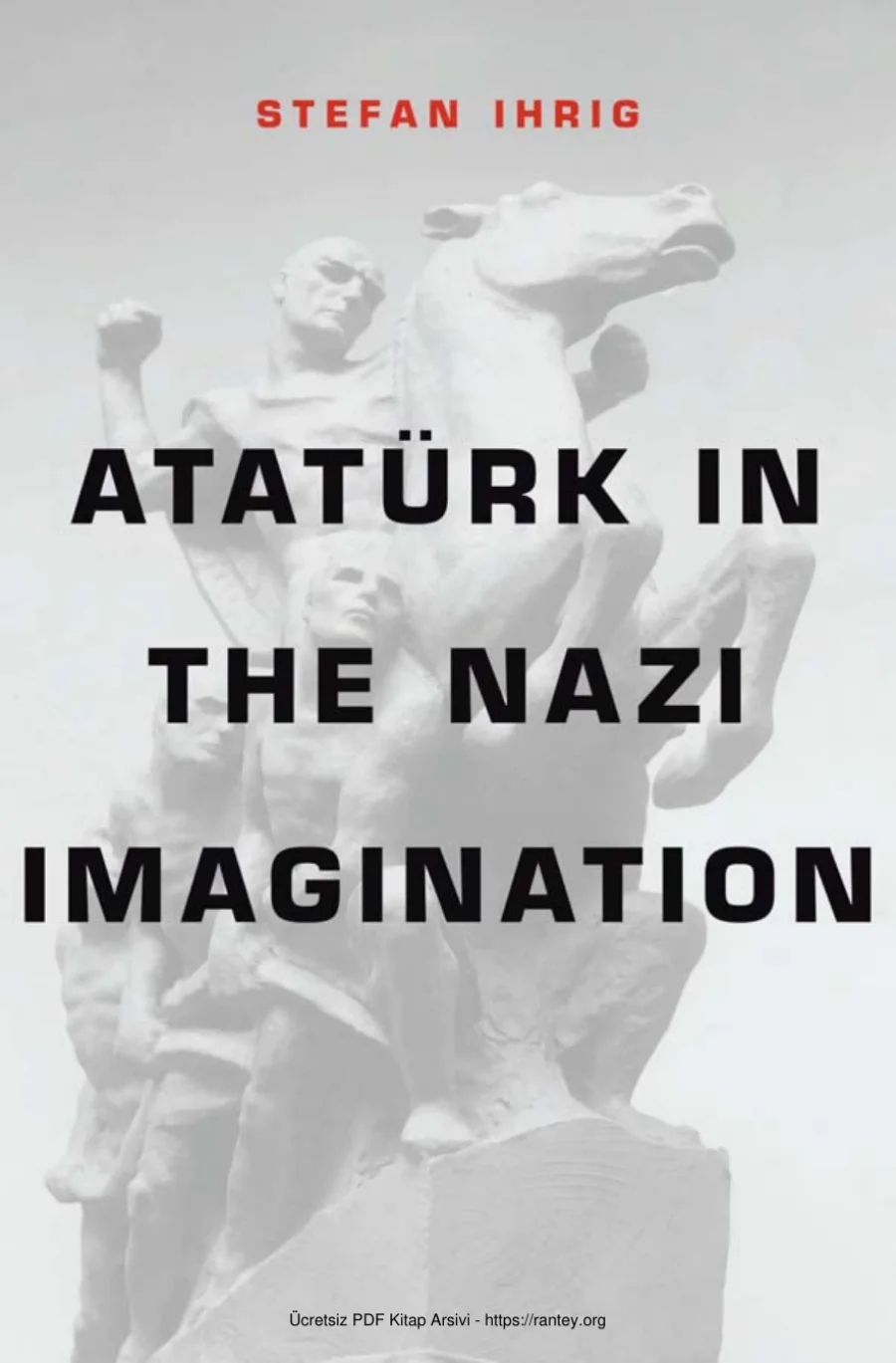 in the Nazi Imagination kapak görseli