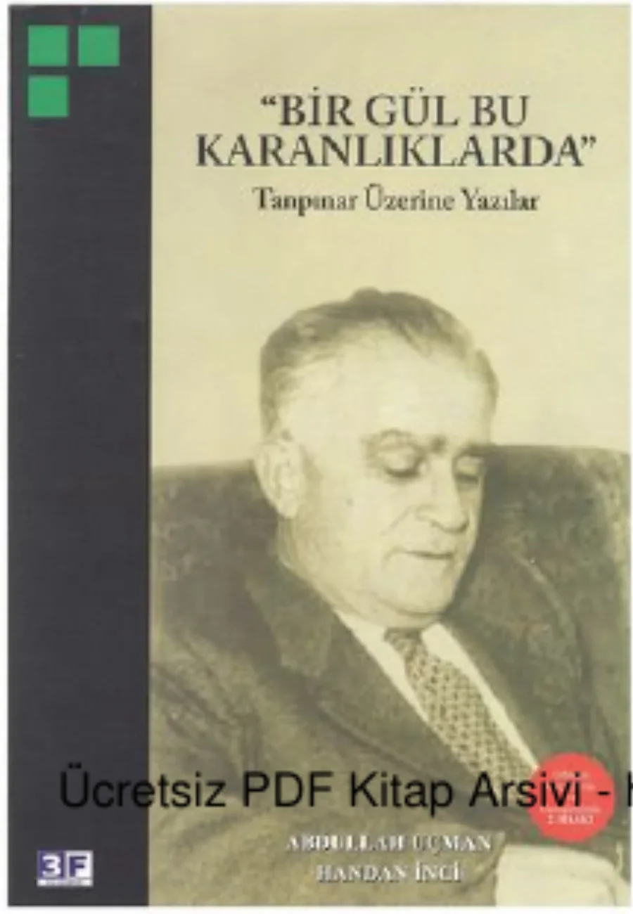 İnci Enginün Bir Gül Bu Karanlıklarda Tanpınar Üzerine Yazılar 3F Yayınları kapak görseli