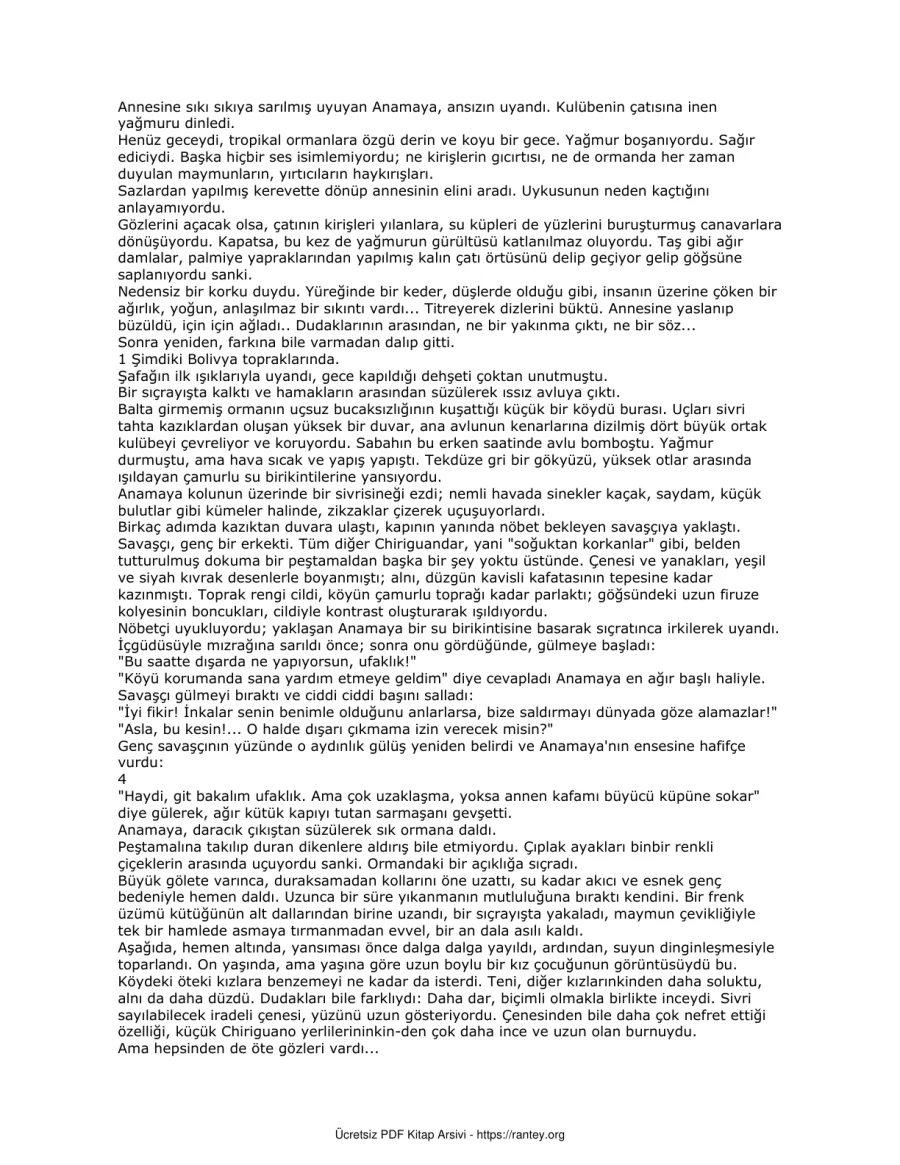 Inka Serisi kapak görseli