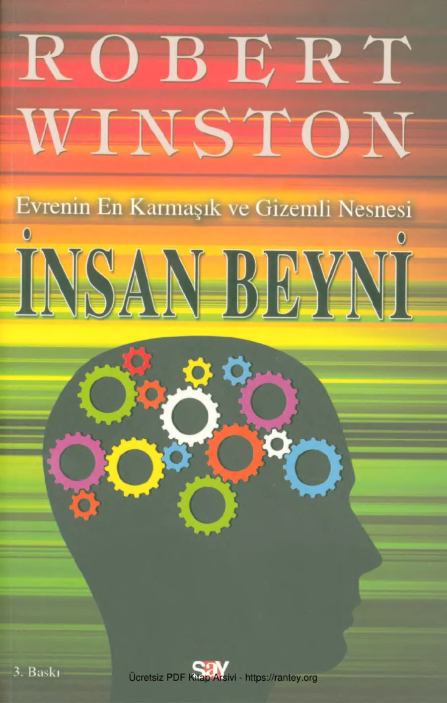 İnsan Beyni Say Yayınları kapak görseli