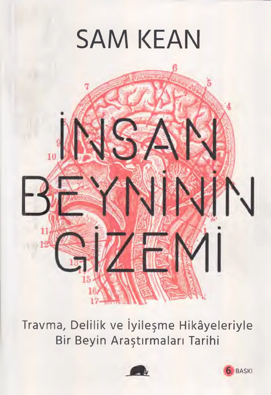 İnsan Beyninin Gizemi kapak görseli