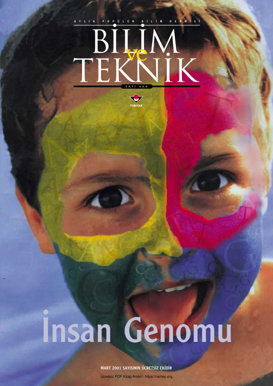 Insan Genomu kapak görseli