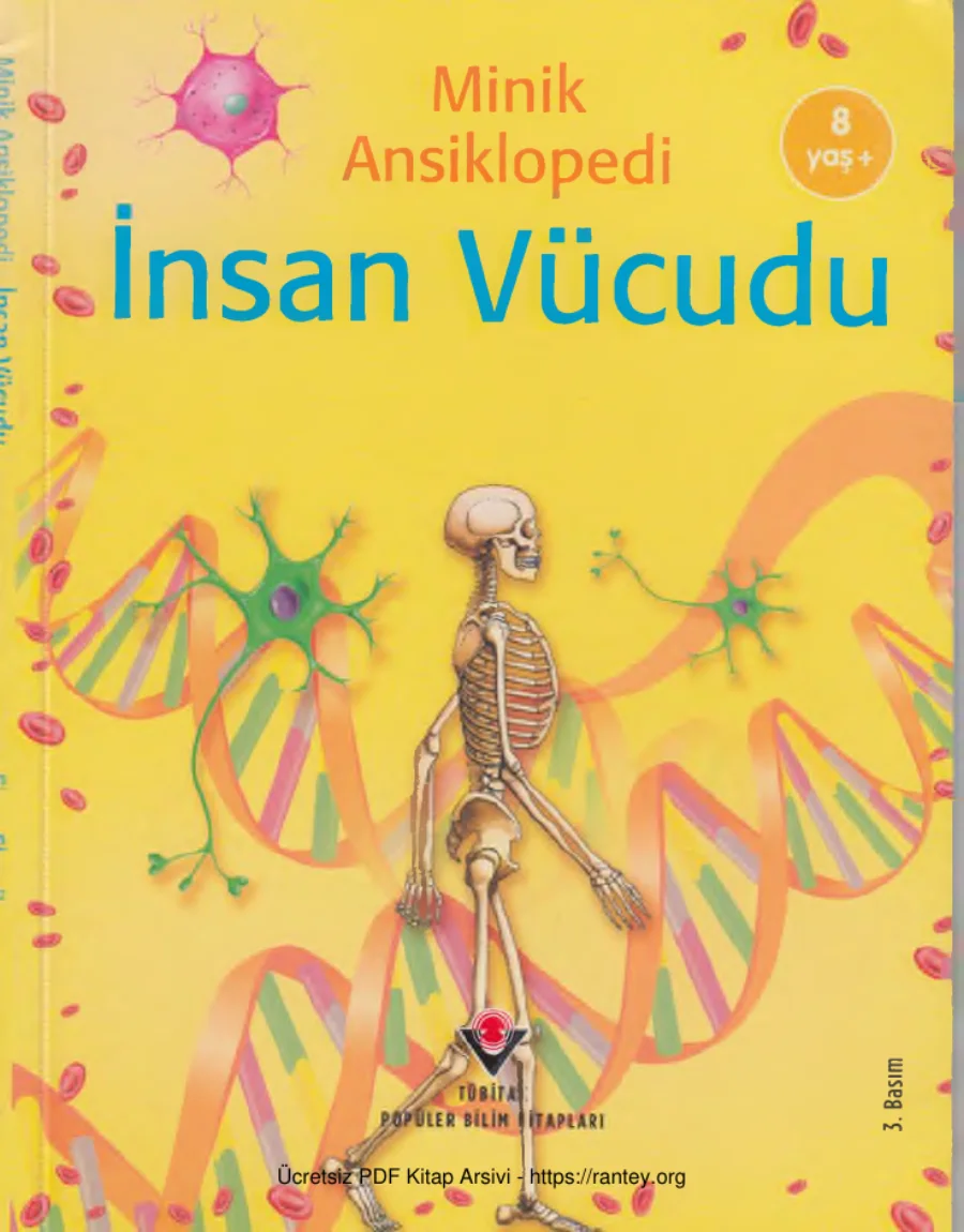 İnsan Vücudu kapak görseli