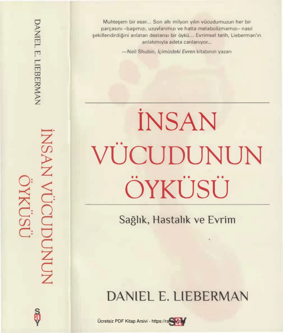 İnsan Vücudunun Öyküsü kapak görseli
