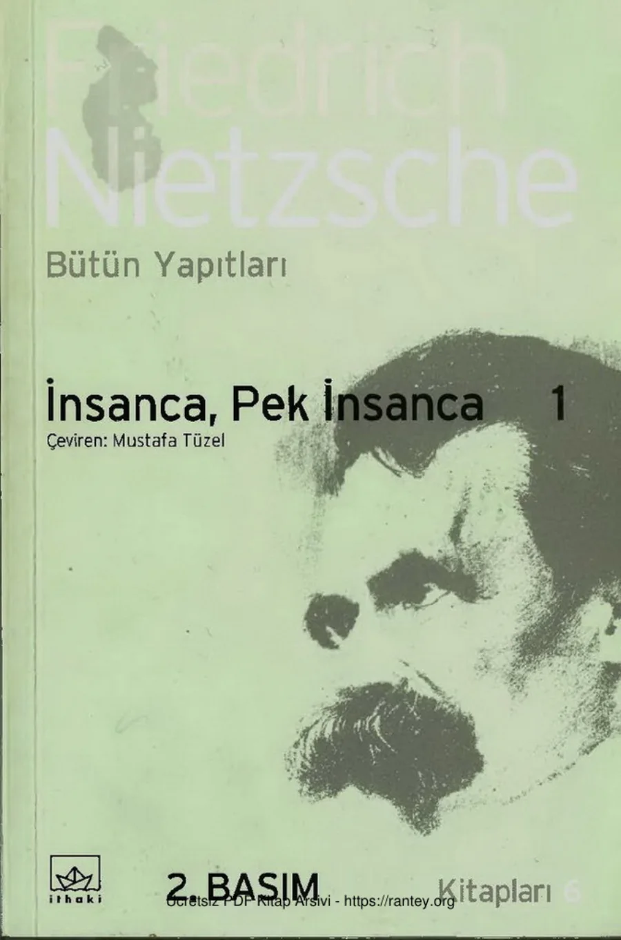 İnsanca Pek İnsanca 1 kapak görseli