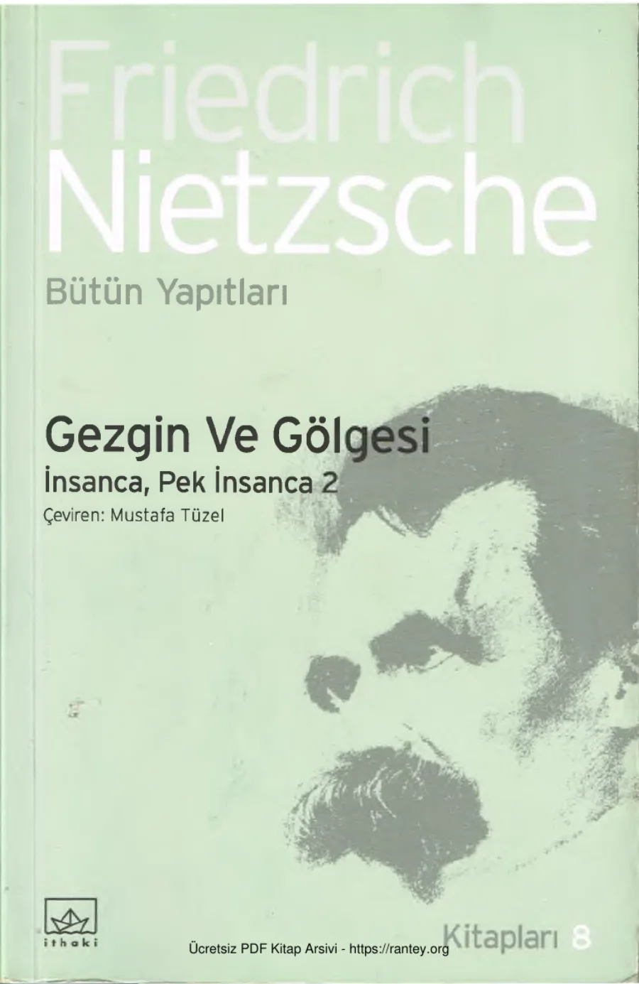İnsanca Pek İnsanca II Gezgin ve Gölgesi kapak görseli