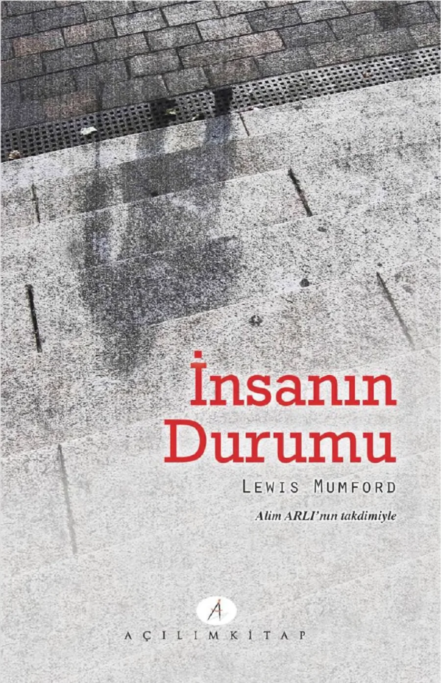 İnsanın Durumu kapak görseli