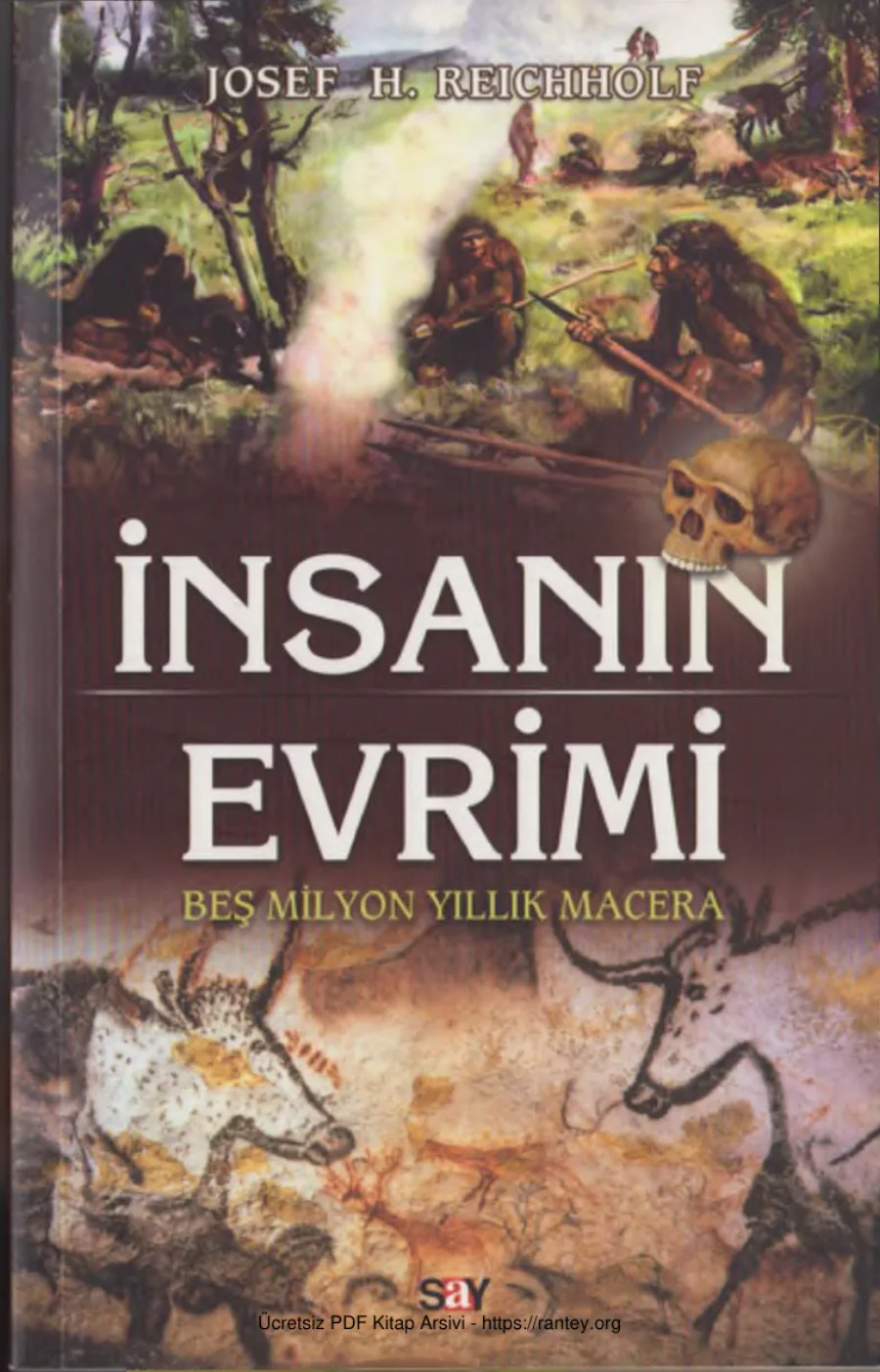 İnsanın Evrimi Say Yayınları kapak görseli