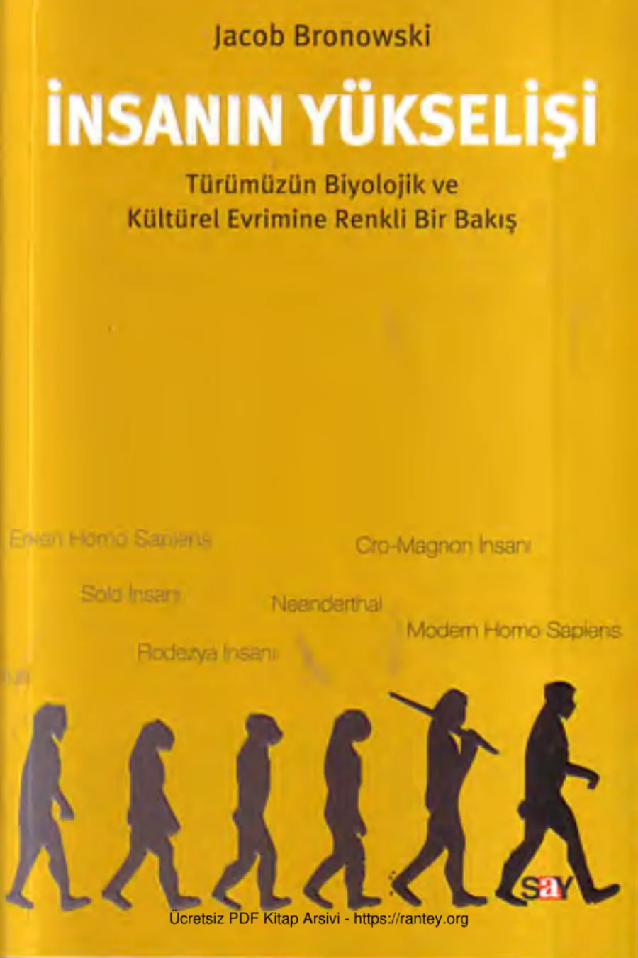 İnsanın Yükselişi kapak görseli