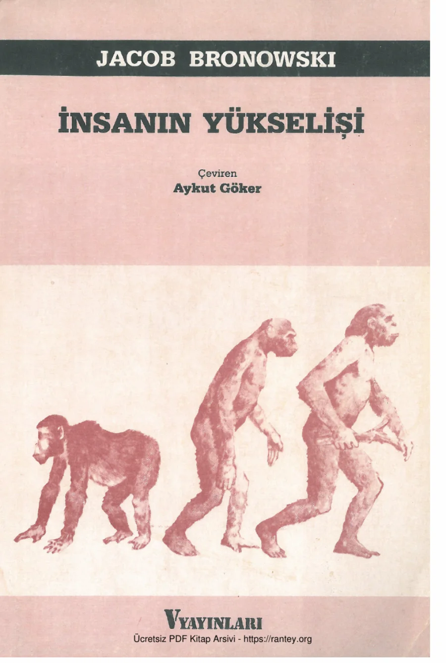 İnsanın Yükselişi Verso Yayınları kapak görseli
