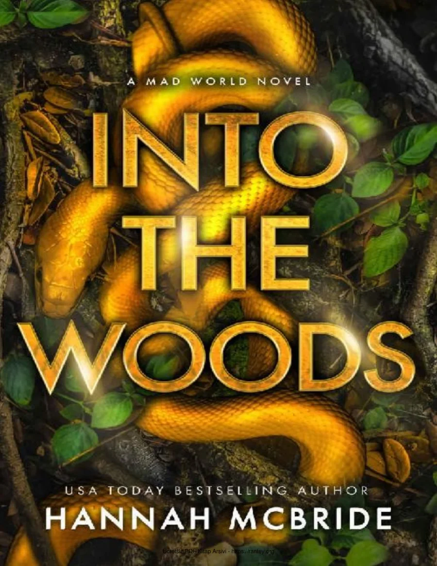 Into the Woods A Mad World Novel kapak görseli