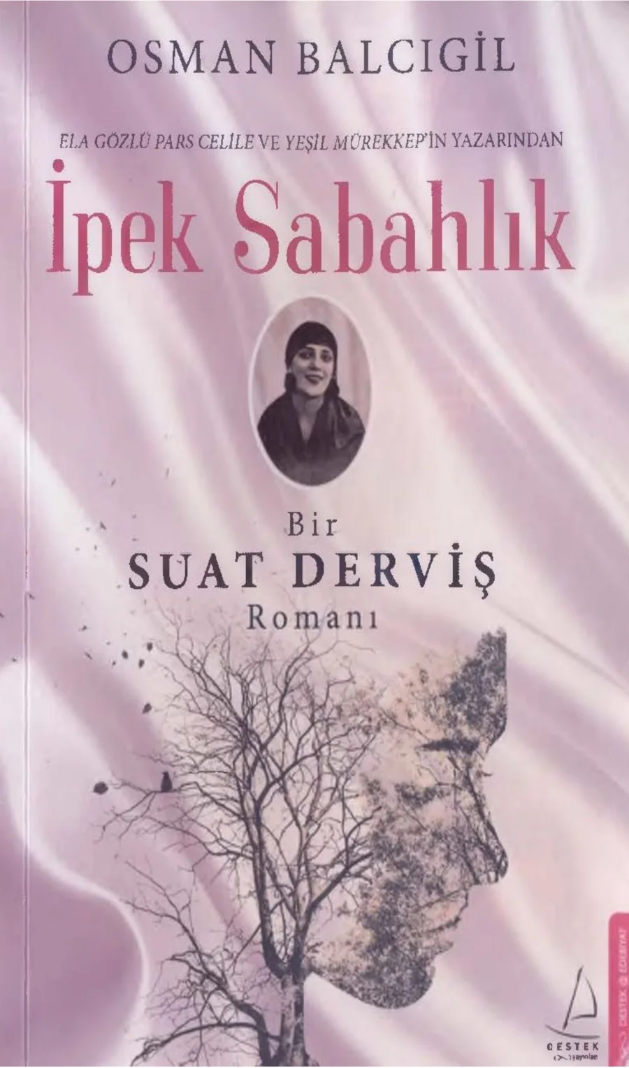 İpek Sabahlık: Bir Suat Derviş Romanı kapak görseli