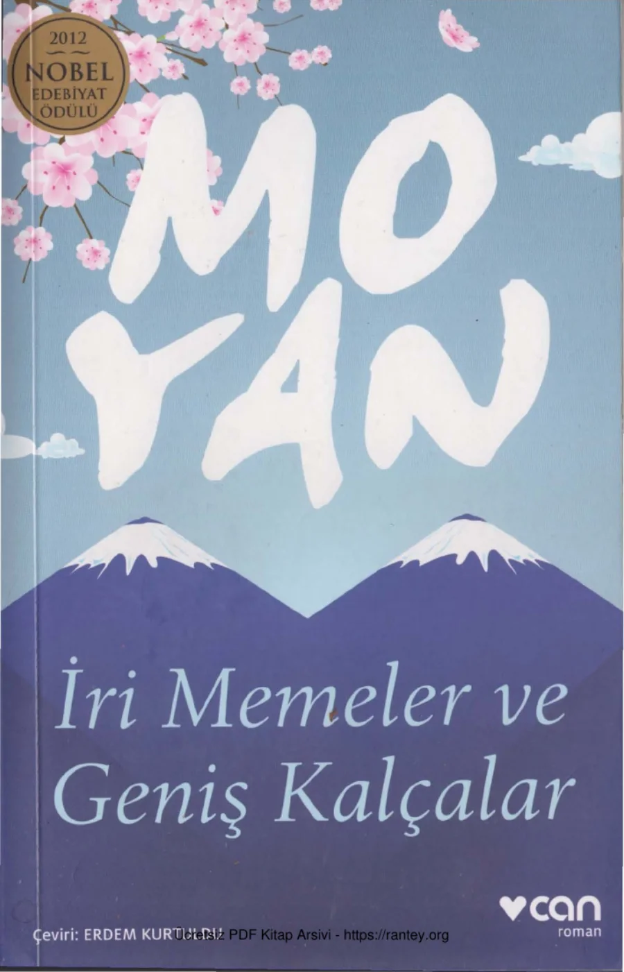 İri Memeler ve Geniş Kalçalar kapak görseli