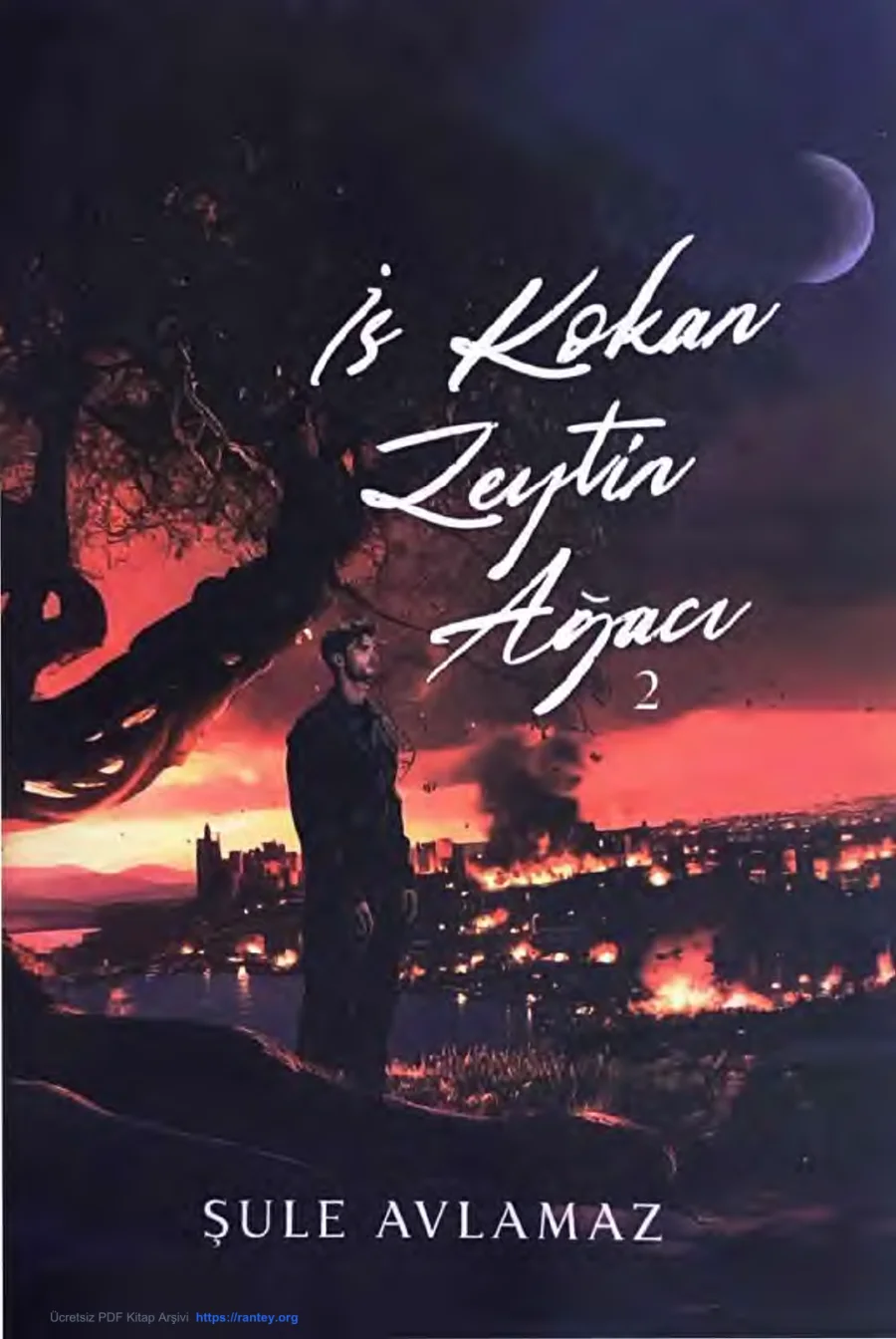 İs Kokan Zeytin Ağacı 2 kapak görseli
