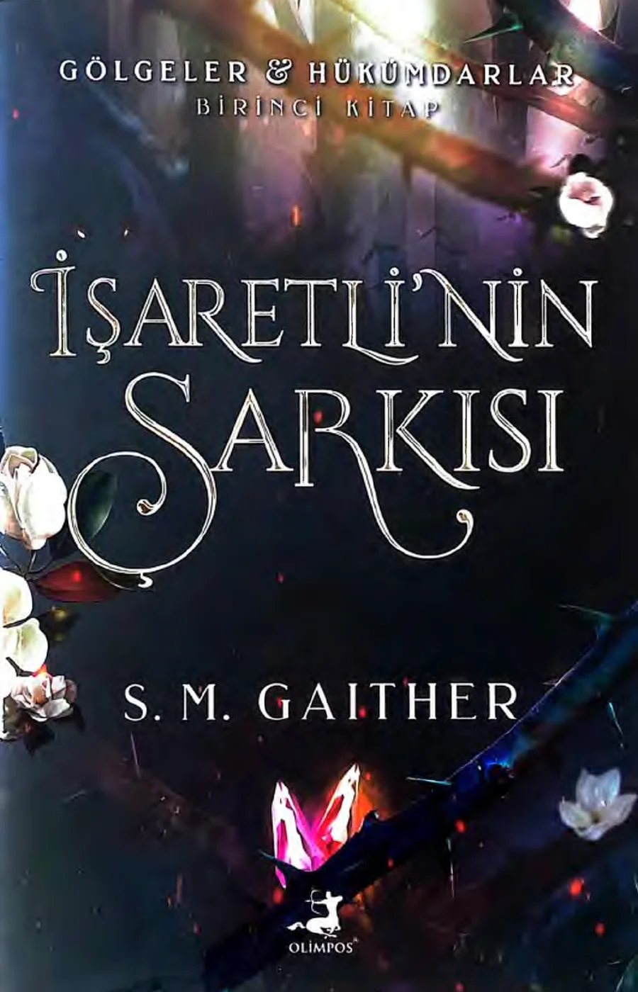 İşaretli'nin Şarkısı kapak görseli