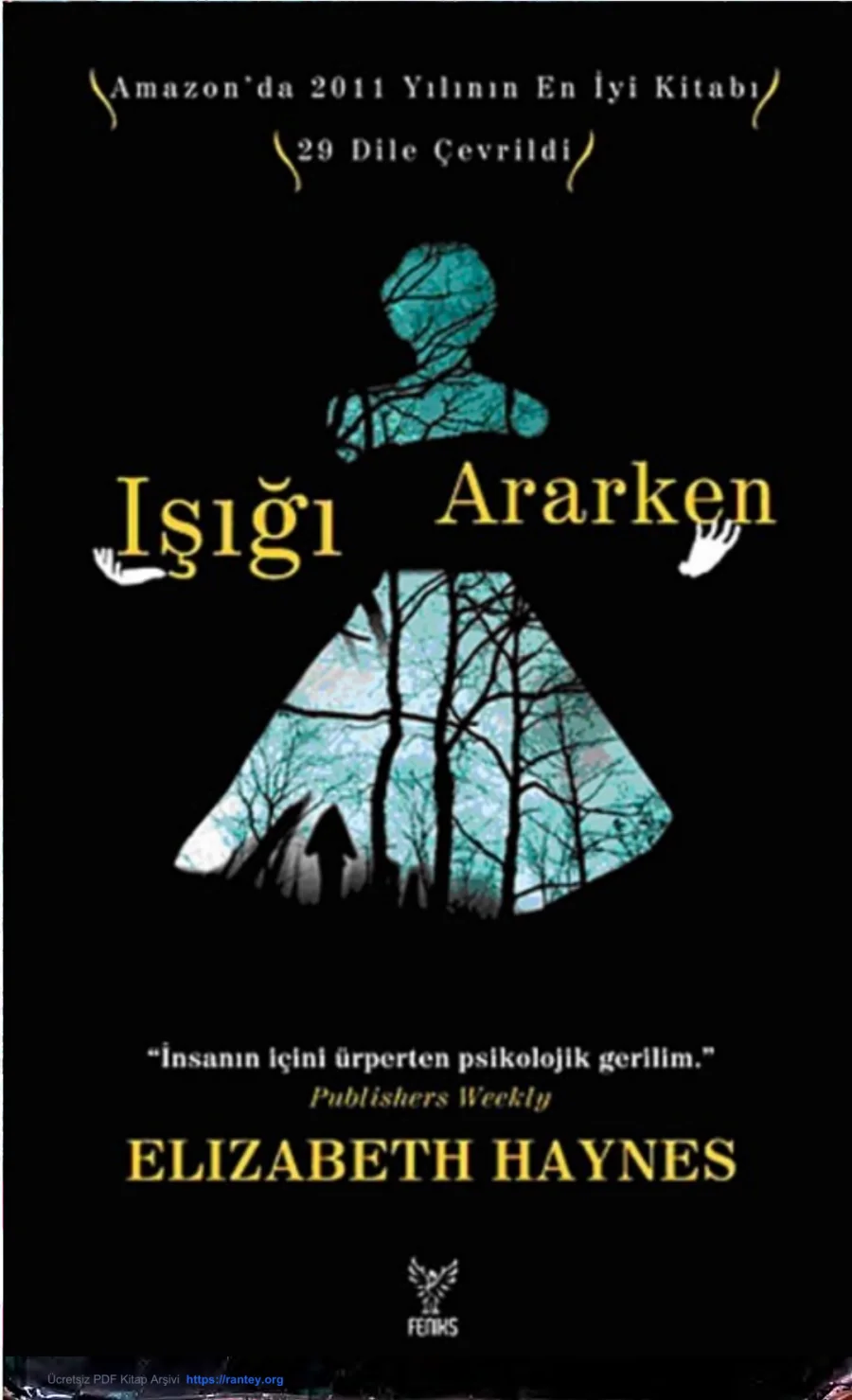 Işığı Ararken kapak görseli