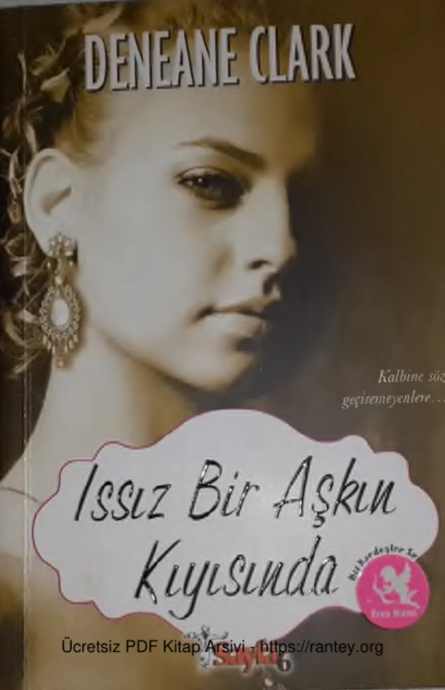 Issız Bir Askın Kıyısında kapak görseli