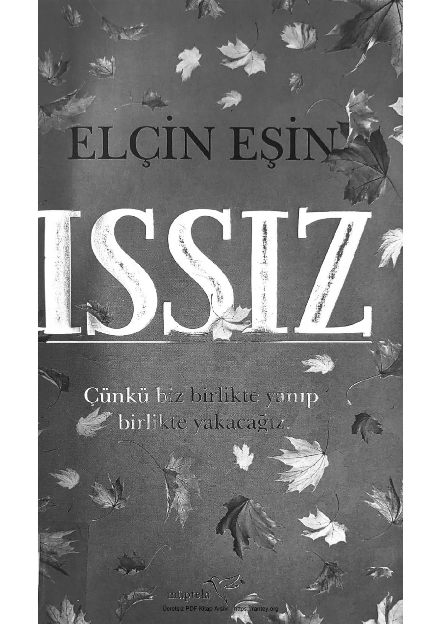 Issız kapak görseli