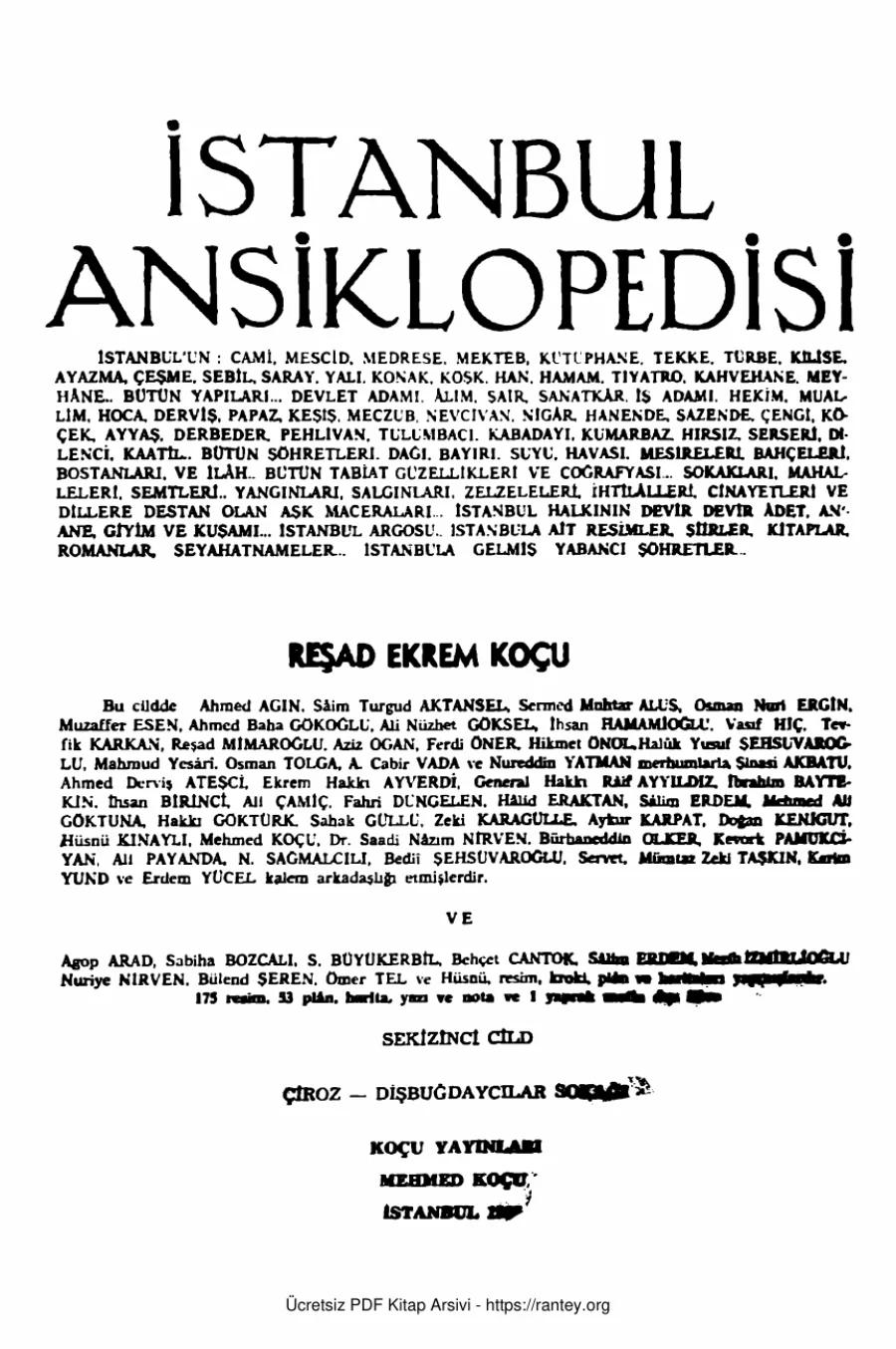 İstanbul Ansiklopedisi Cilt VIII kapak görseli