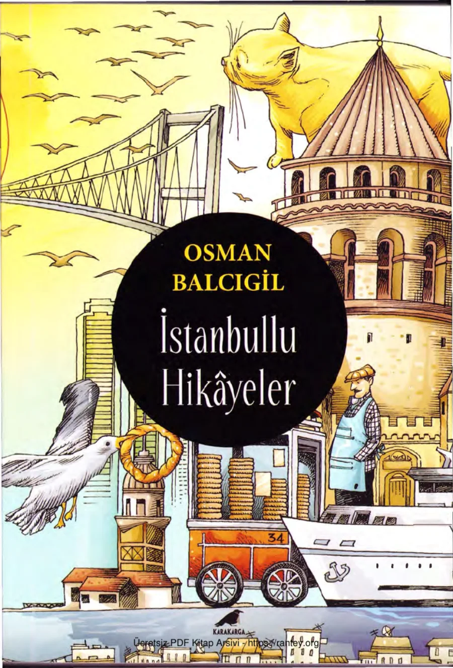 İstanbullu Hikayeler kapak görseli