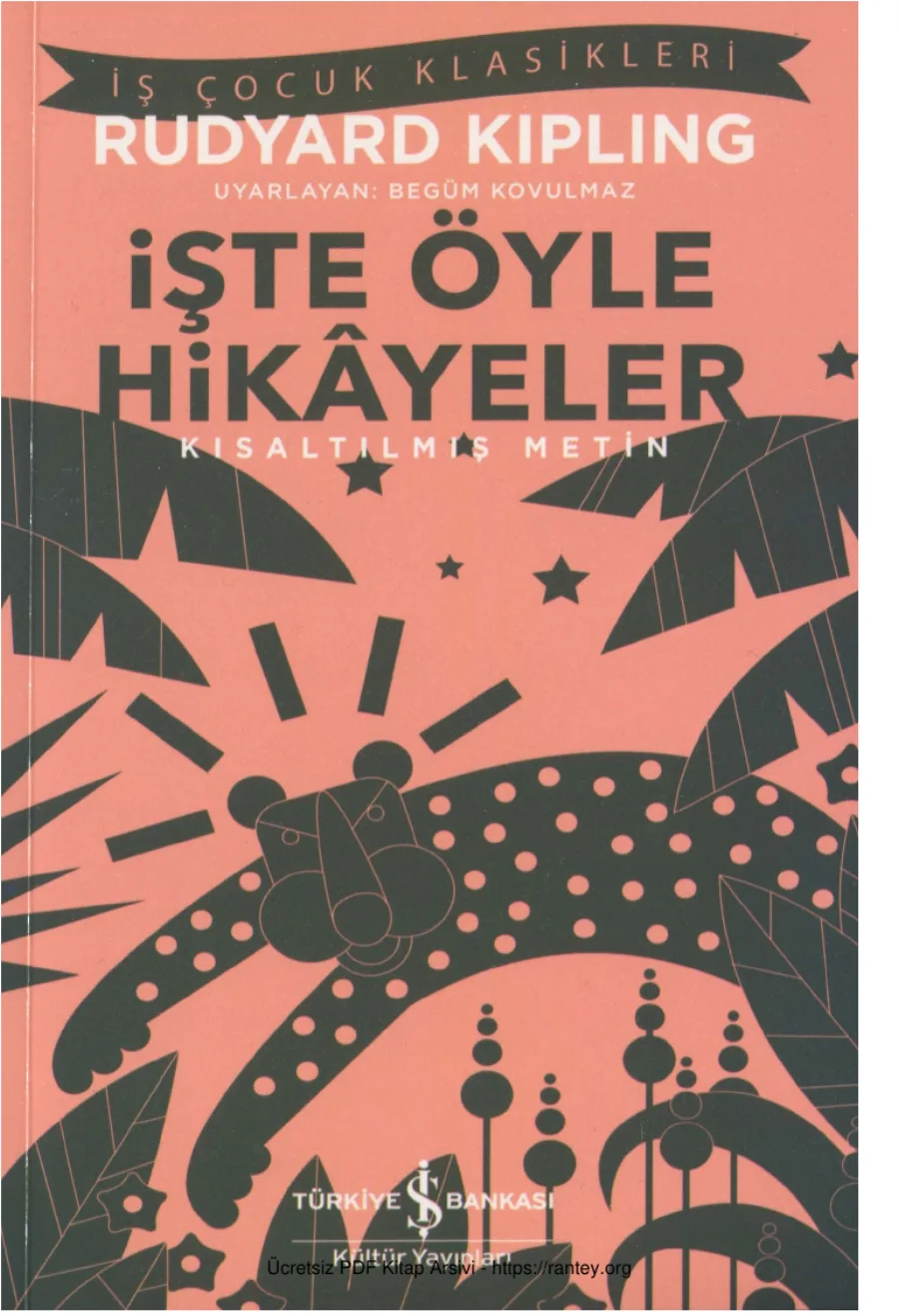 İşte Öyle Hikayeler kapak görseli
